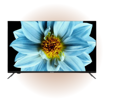 EG2X Series TV